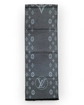 Louis Vuitton Men's Scarf & Stole